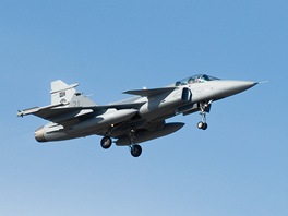 Gripen jihoafrickch vzdunch sil na cvien Lion Effort ve vdskm Ronneby