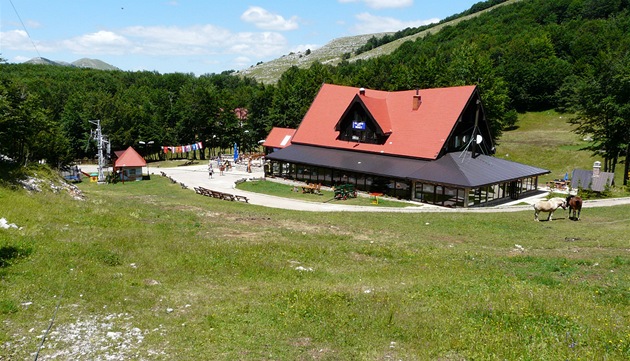 V roce 2011 se REACT konal v ernohorském horském stedisku Vucje.