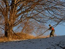 Zvren etapa extrmnho zvodu Winter Survival v Jesenkch