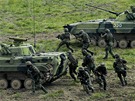 Zte mechanizovan jednotky na Dnech NATO v Ostrav