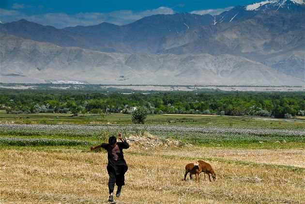 Mladý farmá v afghánském Bagrámu