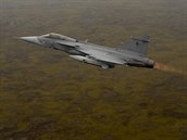 Gripen eskch vzdunch sil doprovz armdn specil s ministrem Stropnickm...