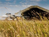 Gripen eskch vzdunch sil na Islandu