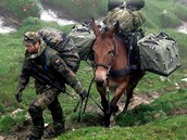 Nmeck 23. horsk brigda vyuv muly a mezky. Slou pro pepravu vybaven a...