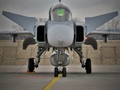 Letoun JAS-39 Gripen eskch vzdunch sil