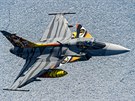 Pilot Ivo Kardo s Gripenem bhem Eurasia Airshow v Turecku