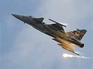 Letoun JAS-39 Gripen eskch vzdunch sil na Dnech NATO v Ostrav