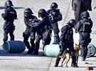 Ukzka zsahu Mstsk policie na Dnech NATO v Ostrav