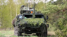 Vojenské manévry NATO v Estonsku