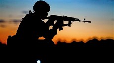 Ranní výsadek amerických a polských vojáků během cvičení „Anakonda 16" v Polsku