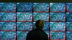Cviení kybernetické bezpenosti Locked Shields 2017 v Estonsku