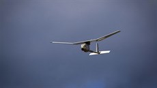Bezpilotní letoun RQ-11 RAVEN