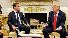 Šéf NATO Mark Rutte s americkým prezidentem Donaldem Trumpem v Bílém domě (14....
