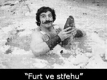 Furt ve stehu