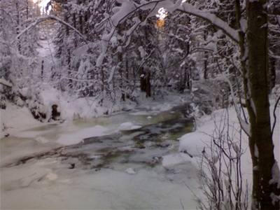Norsko - zamrzl potok