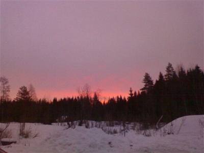 Norsko - zimn obloha nad lesem