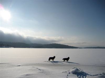 Norsko - vlet na ostrovy ve fjordu 3