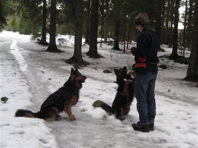 Norsko Marek a psi v akci 2