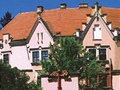 Vrchotovy Janovice - zámek