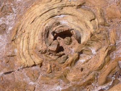 vehla - Austrlie - Stromatolity 3 zkamenl