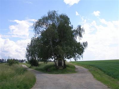Zana - Sázava v červnu