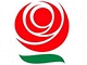 cssd cssd