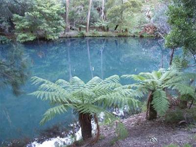 George Švehla - Austrálie - za Modré hory3