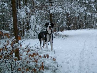 Xerxová - Beta v Českém Ráji 1