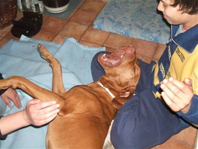 Kolaříková - Ešus zpěvný