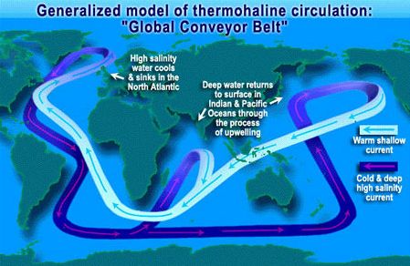 oceanbehavior_conveyor