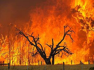 Kingake Bushfires. Victoria 1