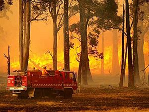 Kingake Bushfires. Victoria 2