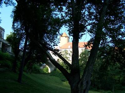 Alex - hrad Veveří