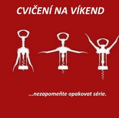 cviceni