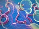 virus virus