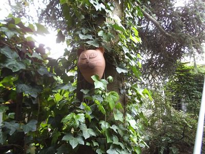 4 Stálozelný břečťaň krásně zdobí naše vítací poznávací znamení