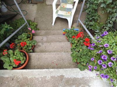 8 Pro další oživení nastupují kytičky v květináčích