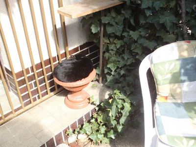 9 To takhle zasadíte Černocha