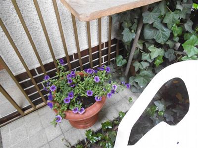 10 ... a co nám z toho vyrostlo