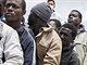 imigranti imigranti