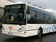autobus autobus