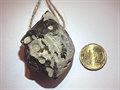 Dravý baltický pazourek jako amulet (s mincí pro srovnání)