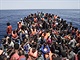migranti migranti