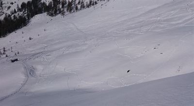 heliskiing 7