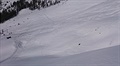 heliskiing 7