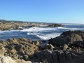 Oceán u Monterey