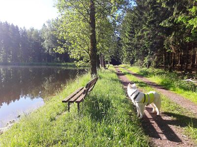 erven 2017 na Podzviinsku