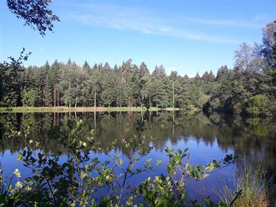 erven 2017 na Podzviinsku