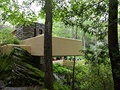 Fallingwater house 4