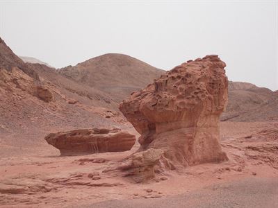 Timna 1